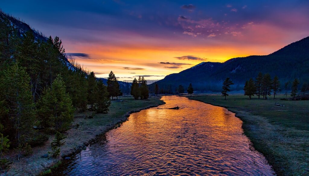 Old Faithful Campground (Yellowstone National Park, Wyoming)