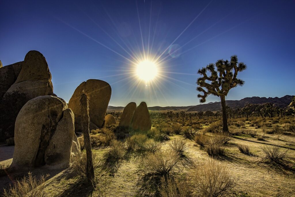 Joshua Tree National Park (California)